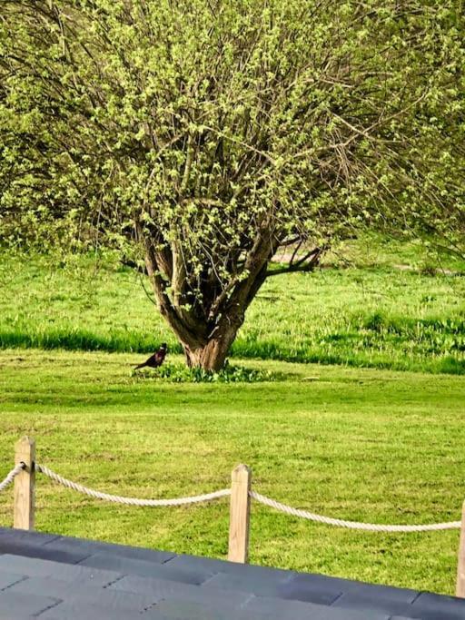 Cosy Farmhouse Escape In Monmouthshire Villa Wolves Newton Buitenkant foto